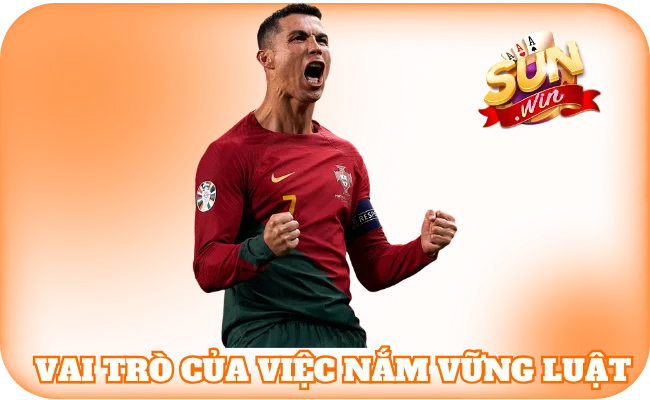 Tầm quan trọng của việc nắm vững các quy luật cá độ bóng đá
